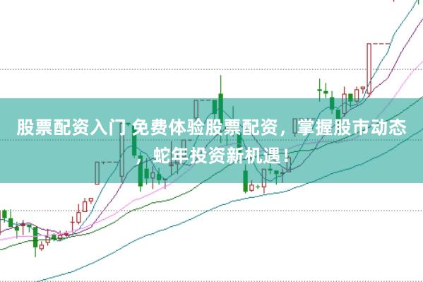 股票配资入门 免费体验股票配资，掌握股市动态，蛇年投资新机遇！