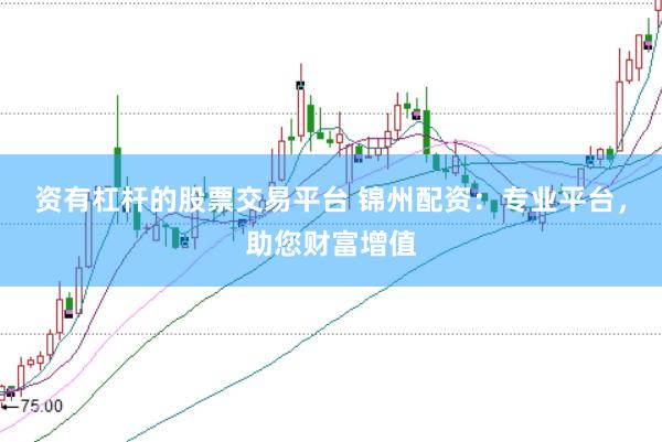 资有杠杆的股票交易平台 锦州配资：专业平台，助您财富增值