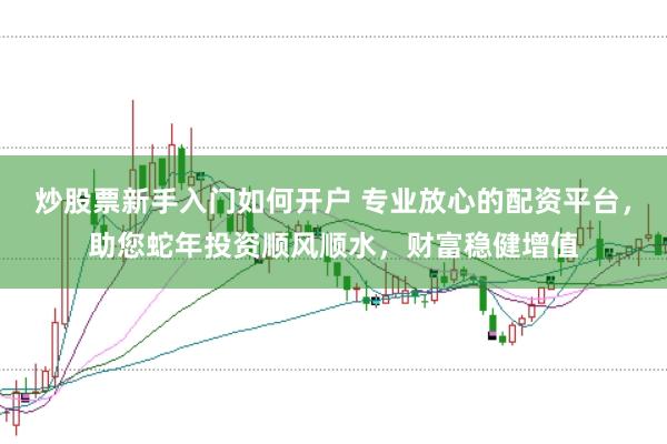 炒股票新手入门如何开户 专业放心的配资平台，助您蛇年投资顺风顺水，财富稳健增值