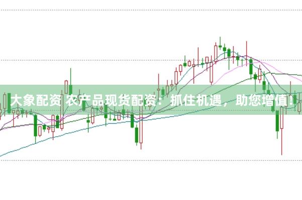 大象配资 农产品现货配资：抓住机遇，助您增值！