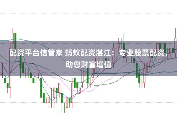 配资平台信管家 蚂蚁配资湛江：专业股票配资，助您财富增值