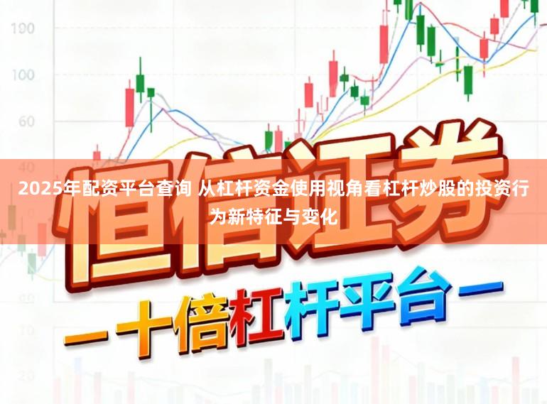 2025年配资平台查询 从杠杆资金使用视角看杠杆炒股的投资行为新特征与变化