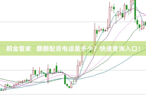 期金管家   翻翻配资电话是多少？快速查询入口！